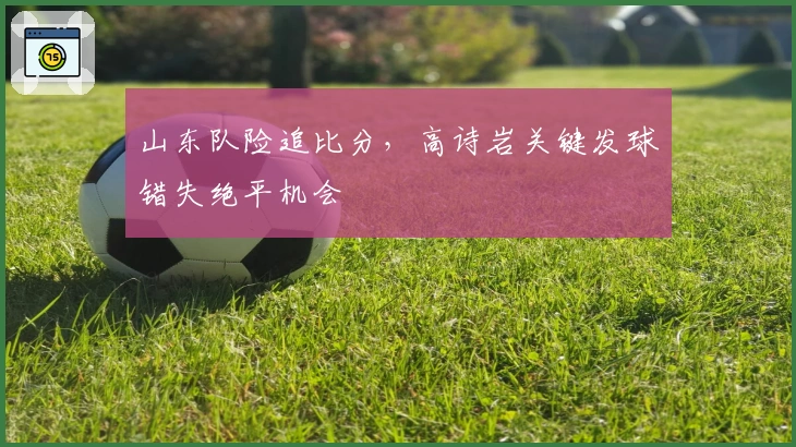 山东队险追比分，高诗岩关键发球错失绝平机会